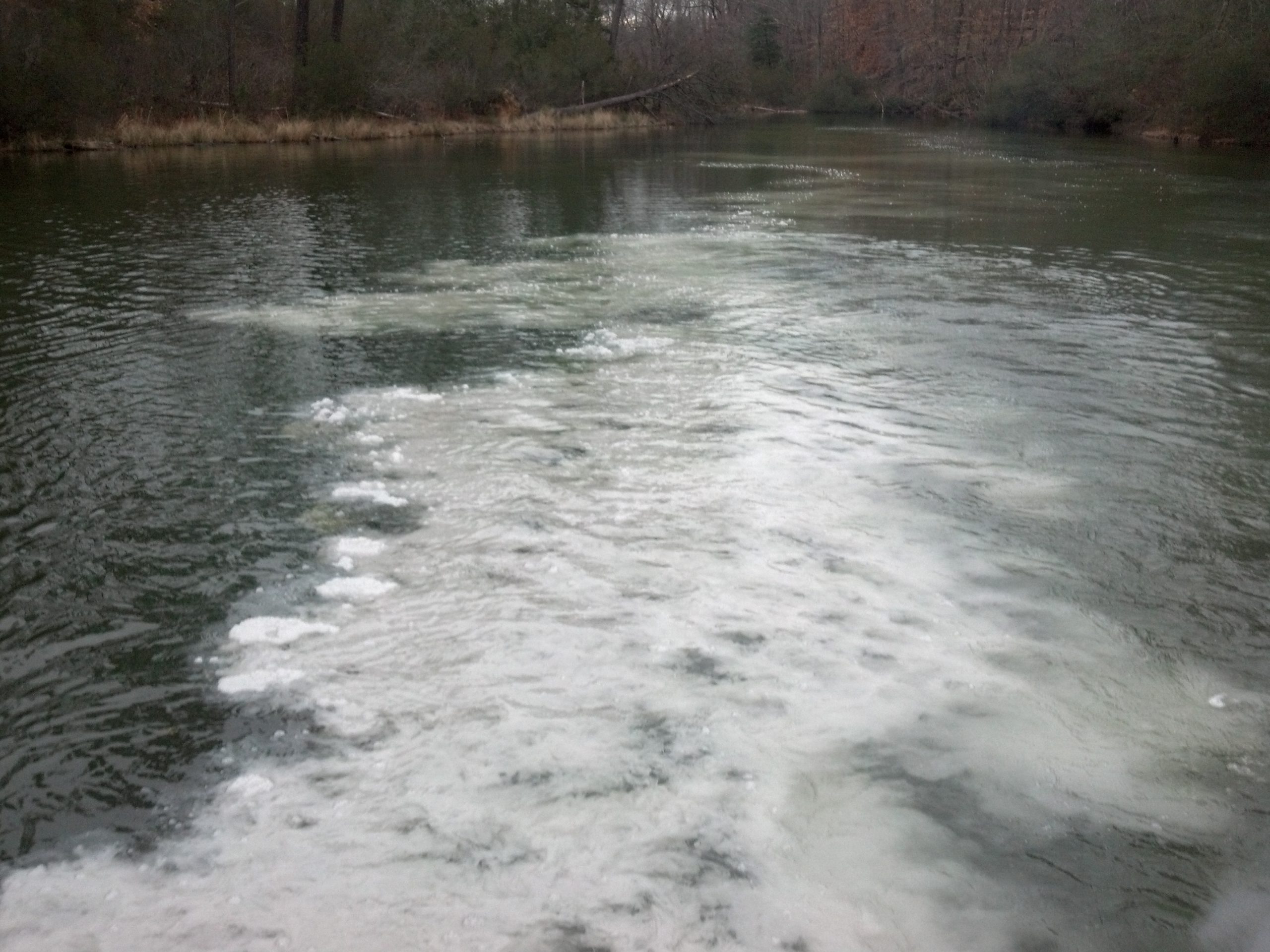 Pond Liming Improve Water Quality and Cultivate a Productive Fishery