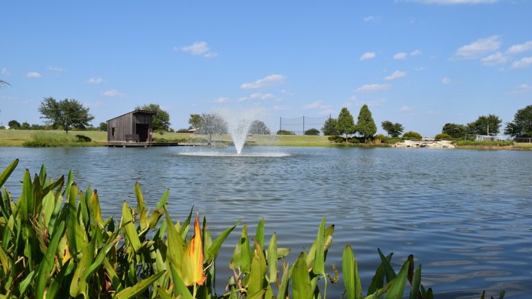 Sustainable Solutions for Lakes, Ponds, Fisheries and Wetlands in Tennessee and Kentucky - Local Landing Page scenic