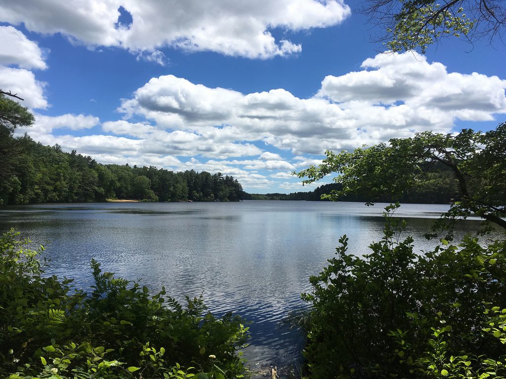 Walker Pond_Rebecca G_Sturbridge MA_Summer Scenic Lake, Pond, Wetland and Fisheries Management in Connecticut & Rhode Island