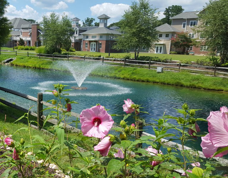 Warwick forest_AquaMaster 2hp_Newport News_VA_ Lake, Pond, Wetland and Fisheries Management for New Jersey