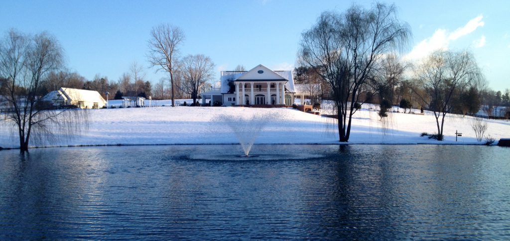 Winter Fountain