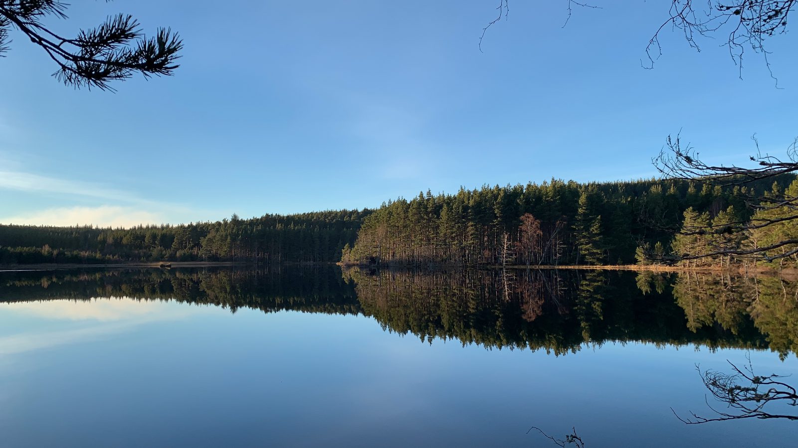 lake and pond management scenic