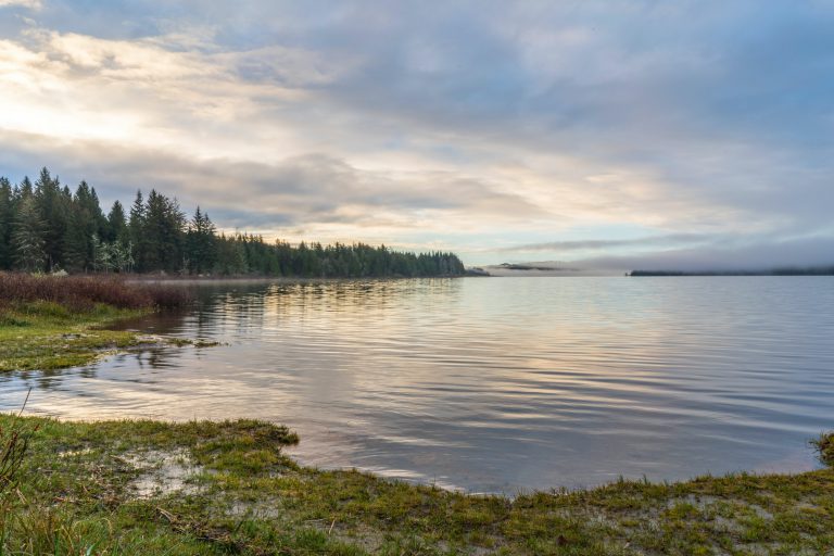 lake and pond scenic photo 2