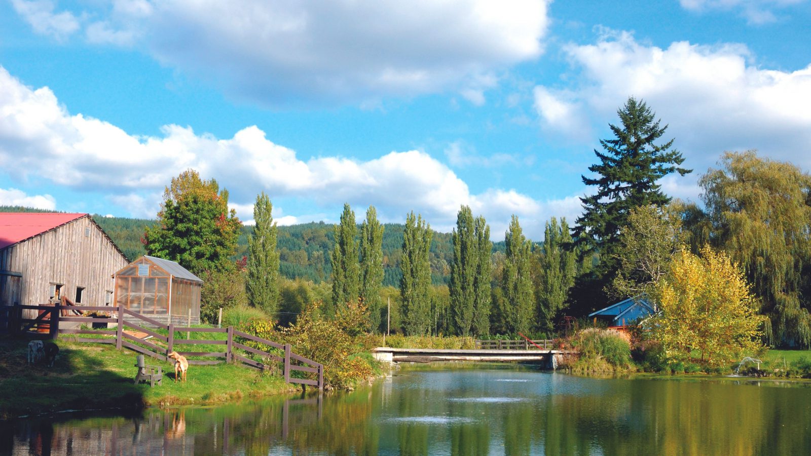 Aeration6 airmax product vendor partner - floating fountains and aeration systems at solitude lake management - improve pond water quality