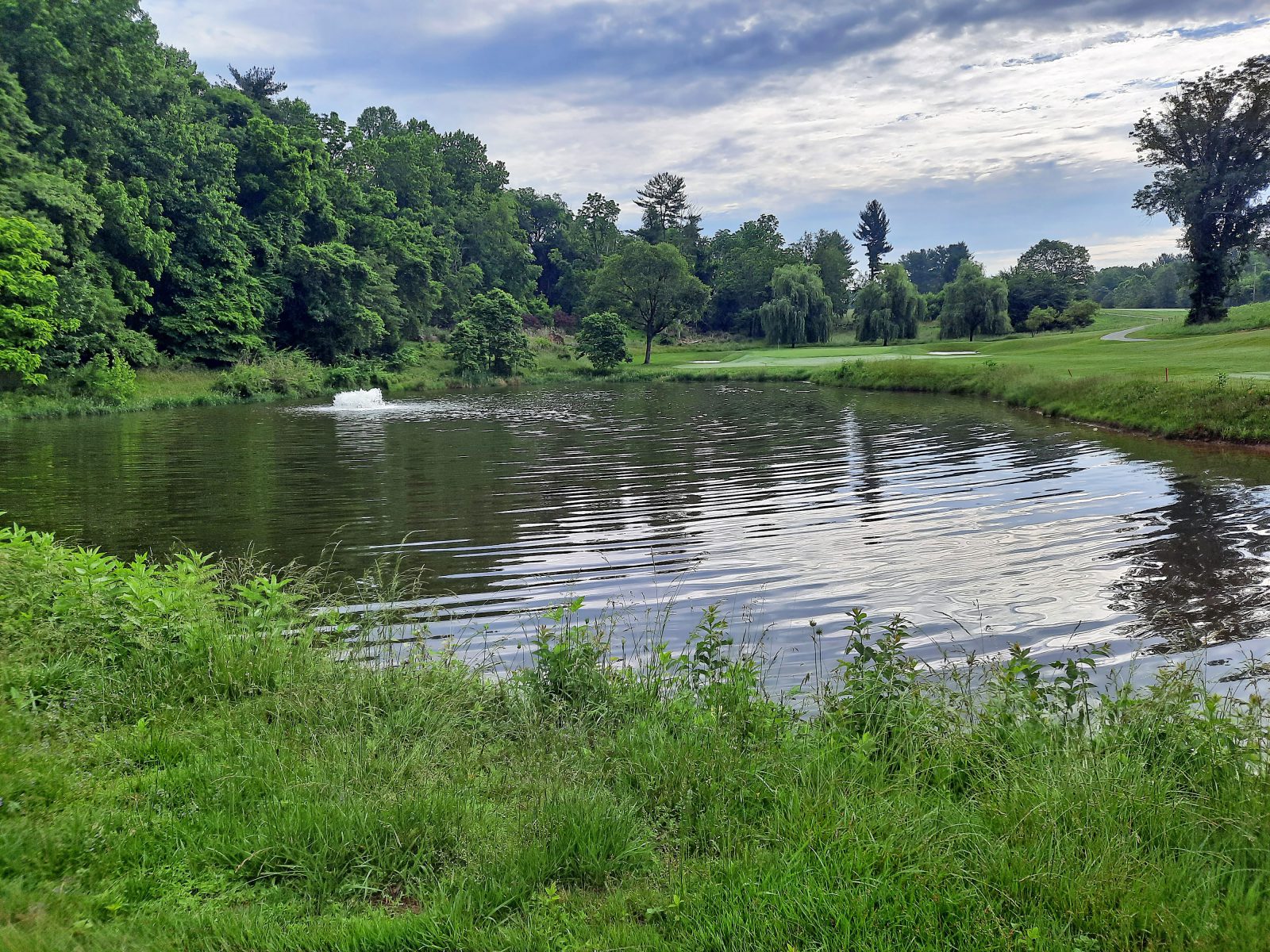 After_Filamentous Pond Algae Management (1)