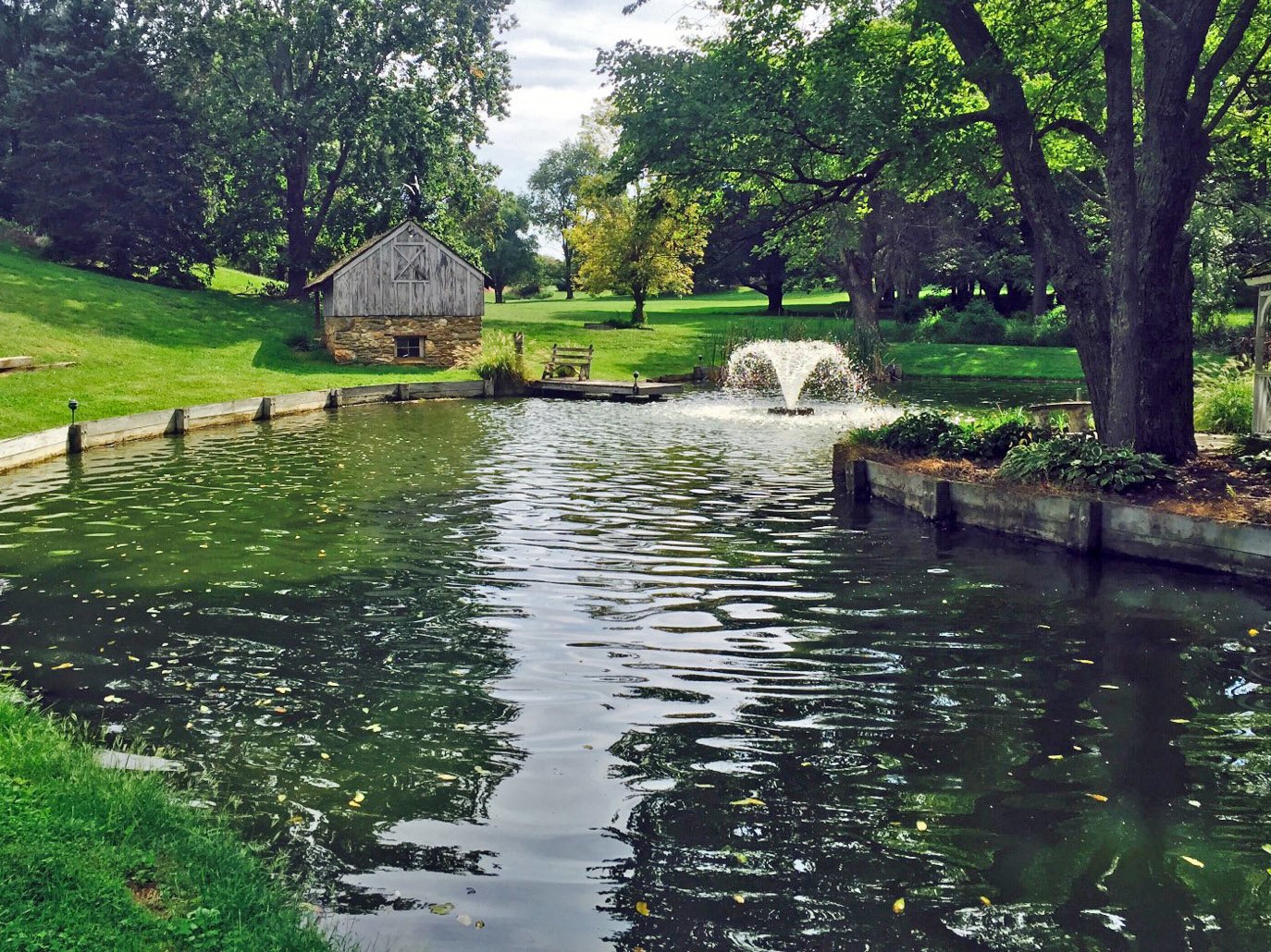 After_Parrotfeather Management invasive aquatic species control and pond weed treatment