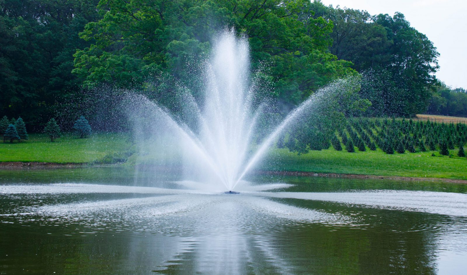 Bearon Fountains vendor partner solitude lake management fountains and aeration services
