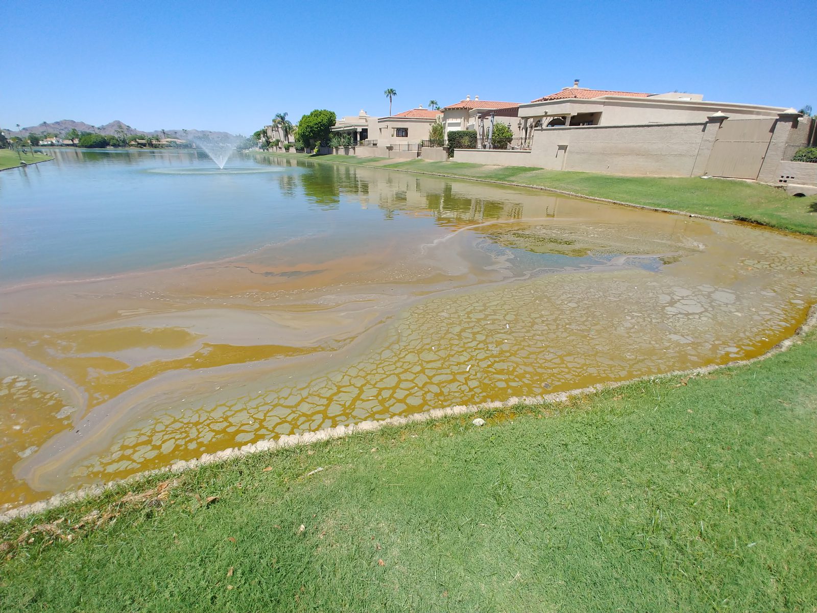 Before_Toxic Algal Bloom Management - invasive species control