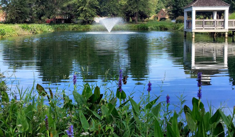 Beneficial Buffer - Fountain - Community Pond VA NC SC GA