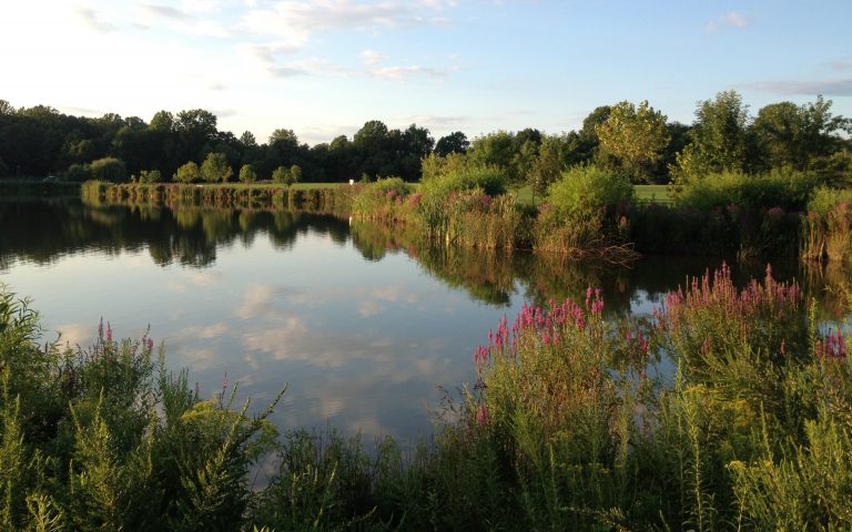 Hainesport NJ Pond_not our property_Beneficial Buffer - Fountain - Community Pond - prevent shoreline erosion Massachusetts