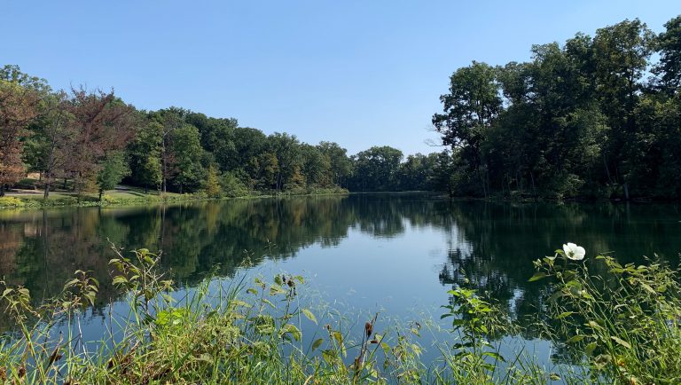 Illinois Lake_Beneficial Buffer - Fountain - Community Pond - prevent shoreline erosion Massachusetts