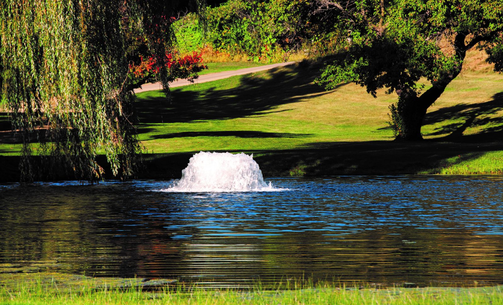 The Importance of Lake and Pond Aeration