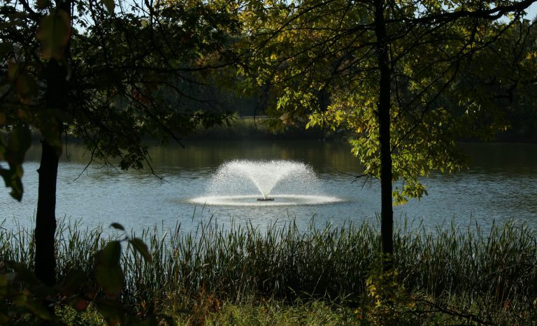 Kasco_VFX_Fountain - fountains and aeration services at solitude lake management - vendor partners