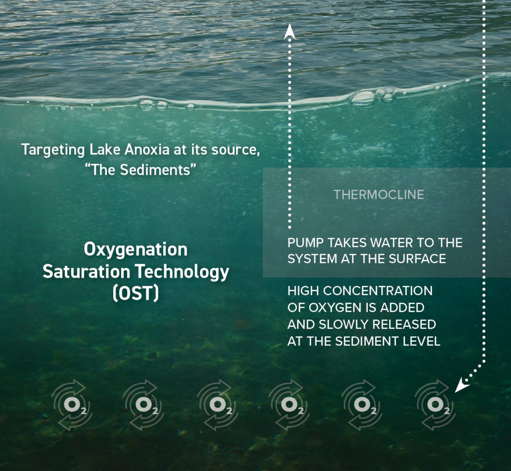 Oxygen Saturation Technology (OST)