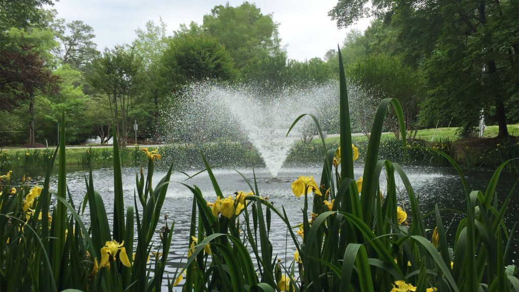Paragraph 3 - _there are many solutions - lake and pond management services - pond solutions - aeration and fountain installation and maintenance - beneficial buffers - beneficial lake plants