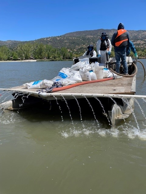 Paragraph 7 - _aeration is helpful - increasing dissolved oxygen levels - improving pond water quality - nutrient remediation - phoslock treatmetn - alum application - liming - colleagues on the job