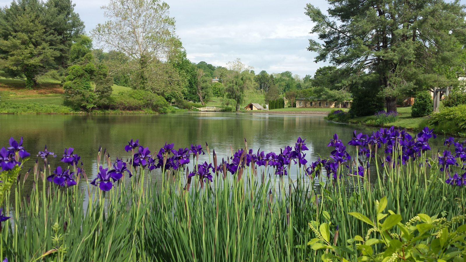 Spring Scenic Pond & flowers_Boars Head VA NC SC GA