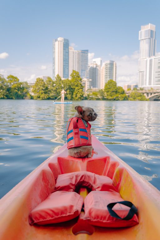 activities on waterbody - having fun - clients - kayaking - lake scenic - dog - city