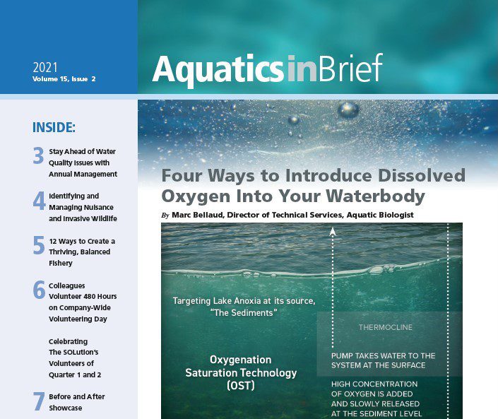 aquatics in brief newsletter cover 2021 - resized smaller
