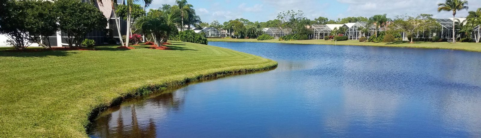 florida-scenic-lake-and-pond-palm-trees-erosion-control-sox-bioengineered-living-shoreline-southwest regional team