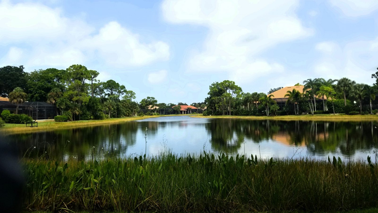 florida scenic pond management - solitude lake management