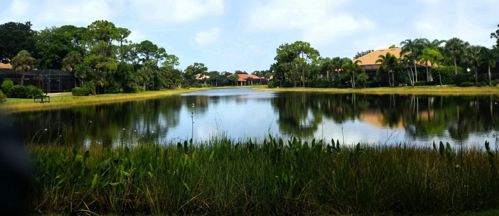 florida scenic pond management - solitude lake management - meet the florida team