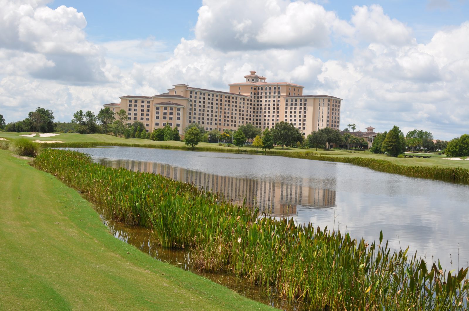 florida shoreline erosion control page 2 buffers - beneficial vegetative buffers - native pond plants