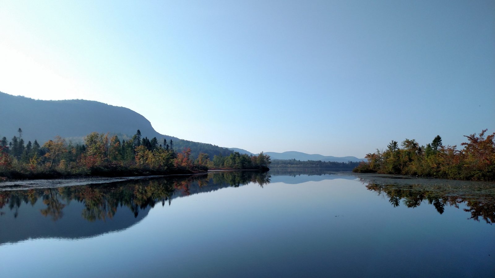 lake and pond management scenic 10