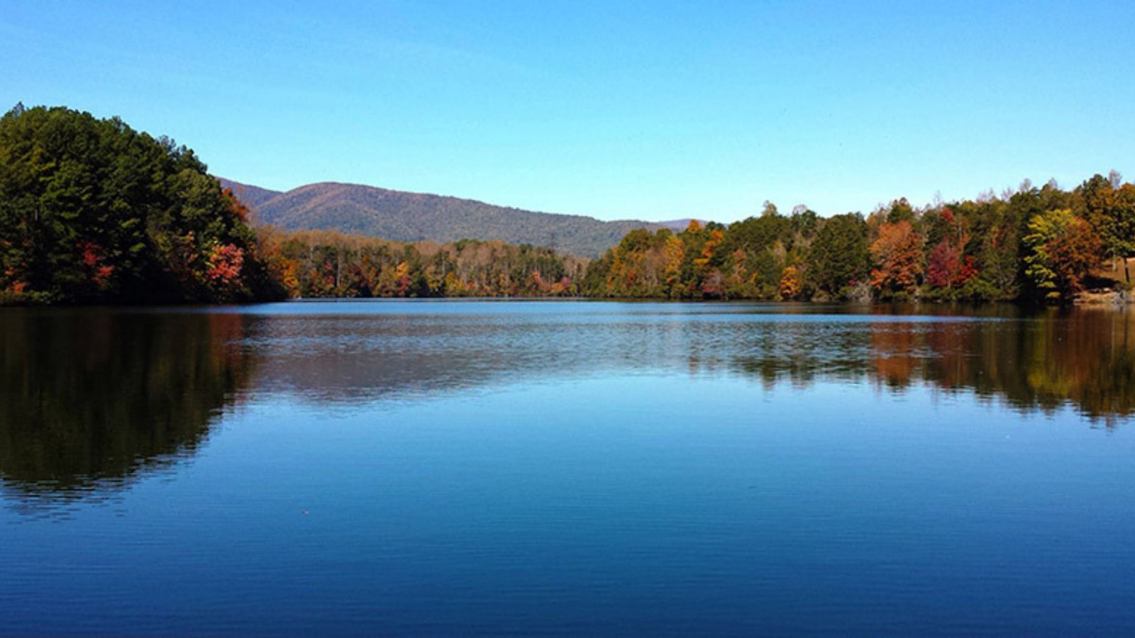 lake and pond management scenic 11