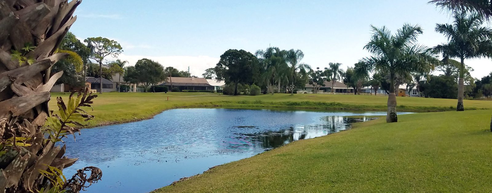 scenic lake and pond management central florida meet the team