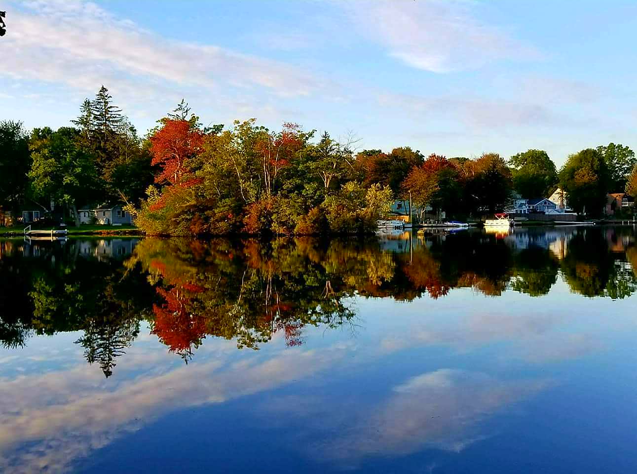 scenic lake and pond management forest in the fall - lake services - pond services