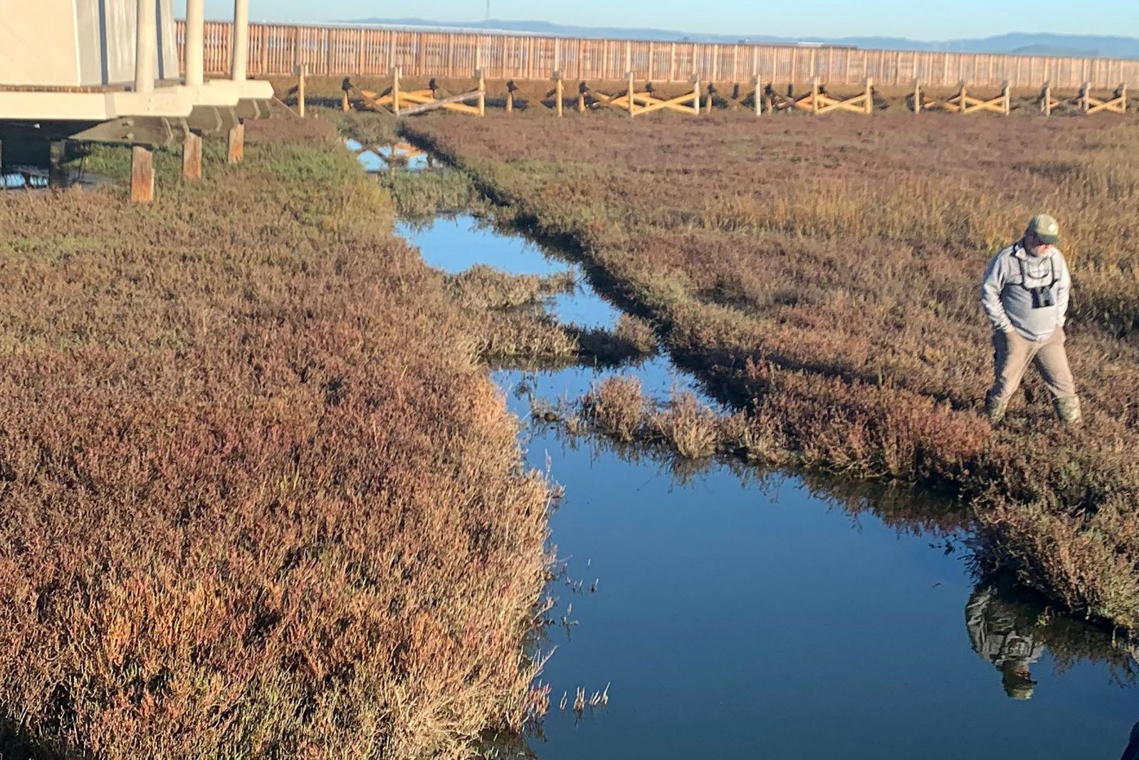 07_BEFORE_Wetland anagement -Restoration_California CA - case study