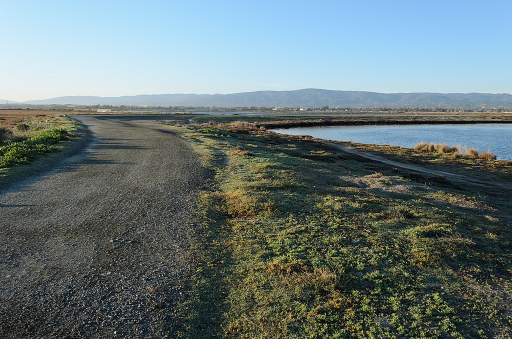 1024px-Palo_Alto_Baylands_February_2013_013