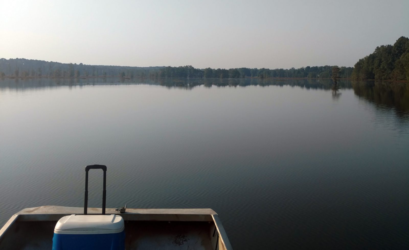 After 1 - Invasive Plant Removal In A Large Lake in Lousiana - LA - case study