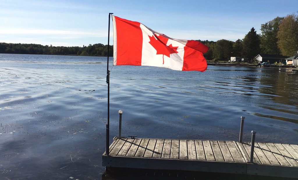After treatment - Controlling Water Solider in Canada Lake Successful Case Studies