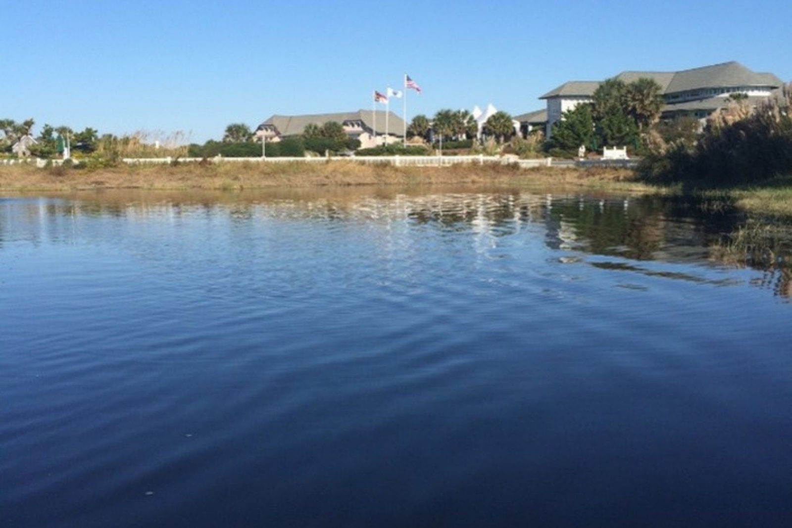 Nuisance Plant Control on Golf Course Bald Head Island NC after 2