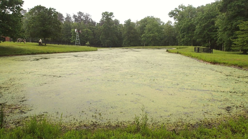 How to Prevent Toxic Algae in a Drinking Water Reservoir