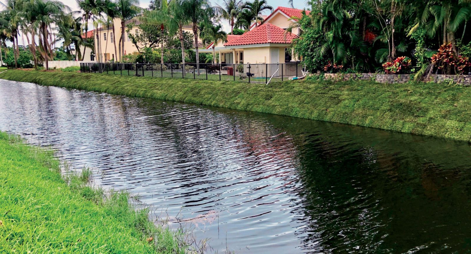 erosion control and shoreline stabilization with beneficial plants - florida - after - hoa and community