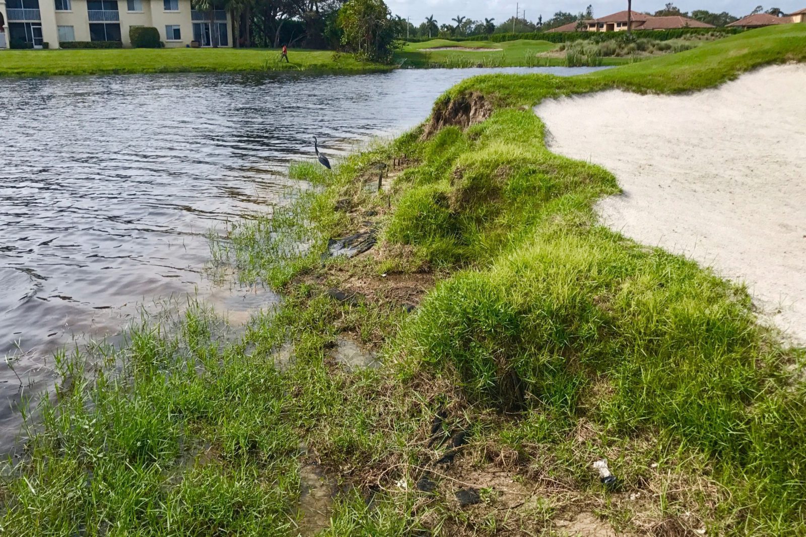 golf-course-erosion-control-before-1-scaled