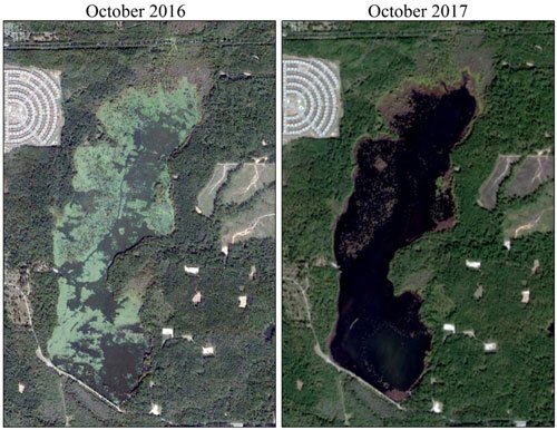 map-before-and-after Invasive Plant Removal In A Large Lake in Lousiana - LA - case study