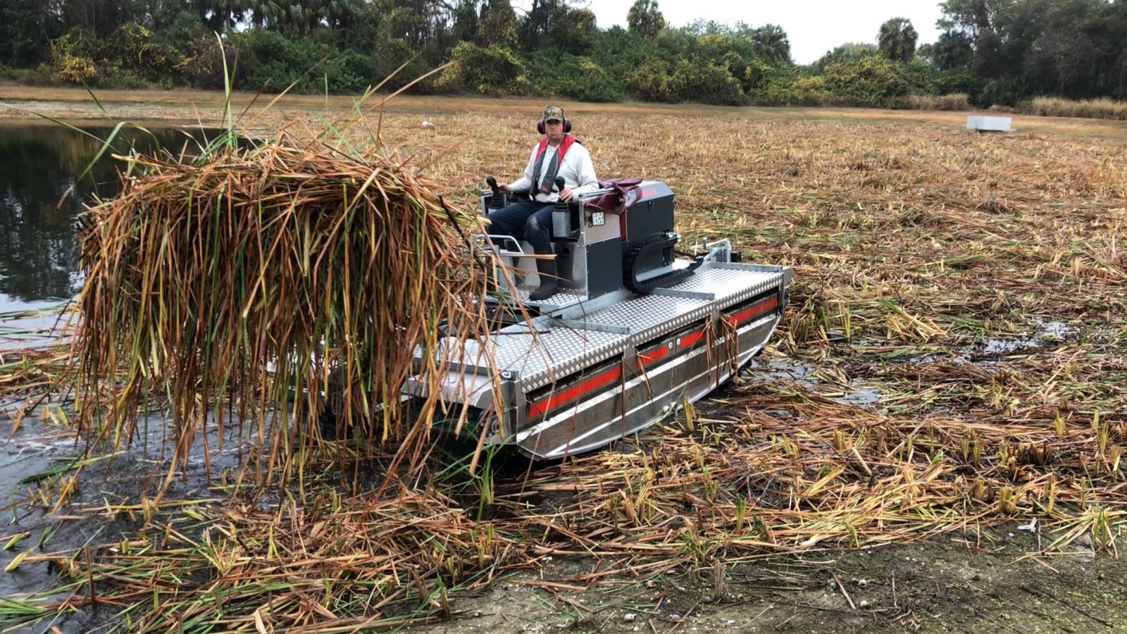 Mobitrac Invasive Plant Removal