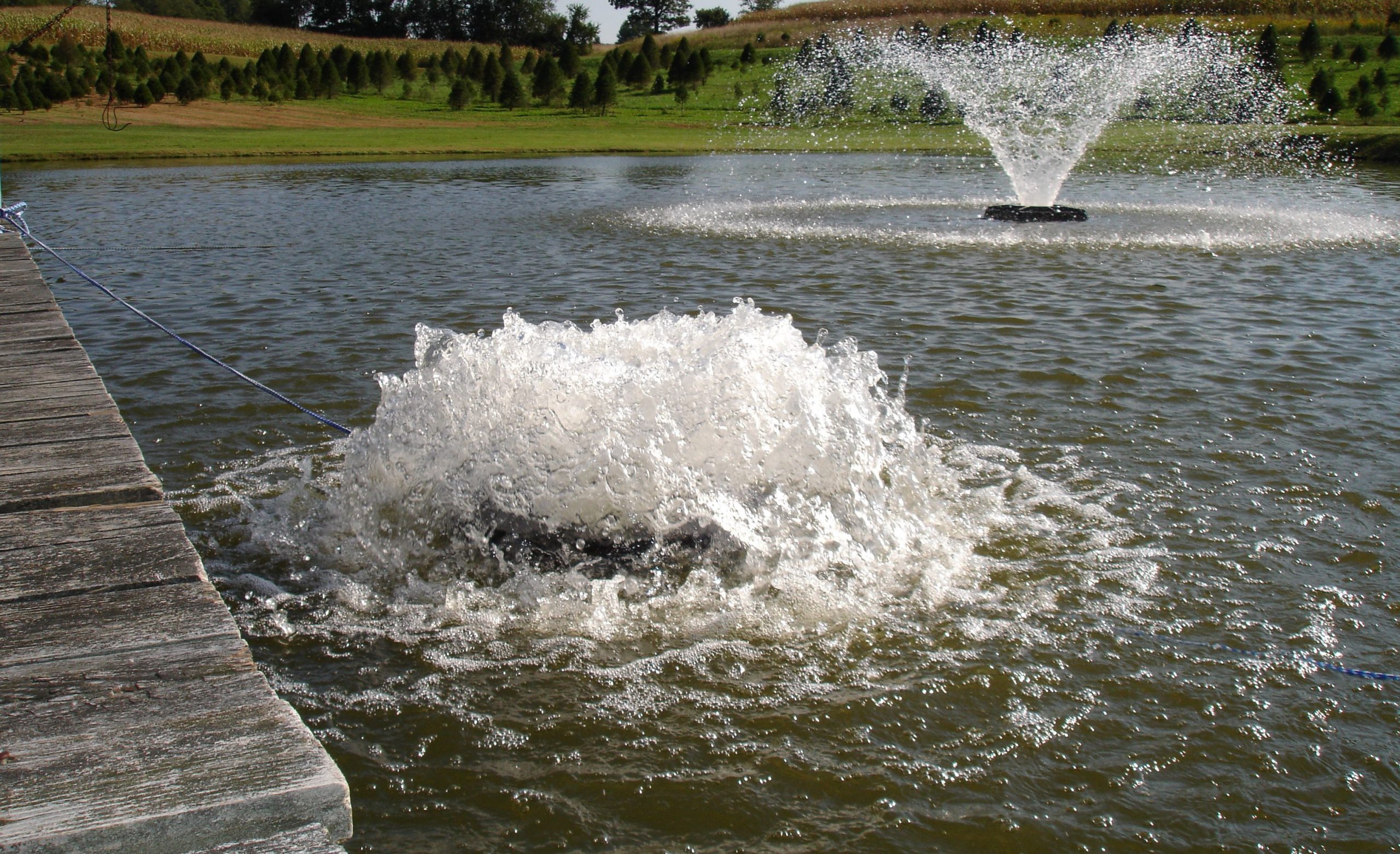 Lake Fountains vs. Surface Aerators vs. Submersed Pond Aerators