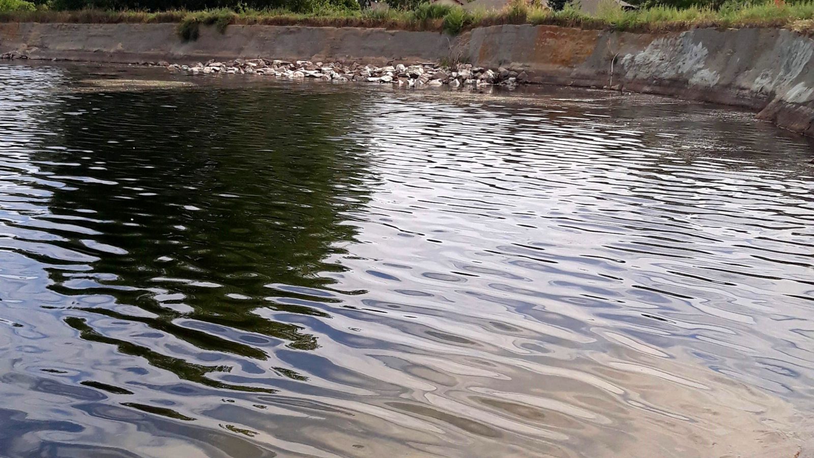 water reservoir - dirty drinking reservoir - algae - aquatic weed - nutrient remediation - water quality - after 1