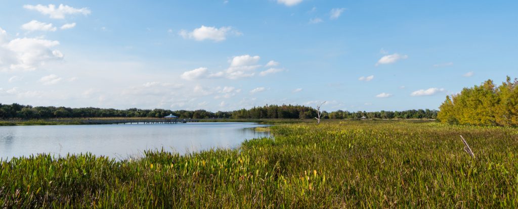 wetland-preserve-management