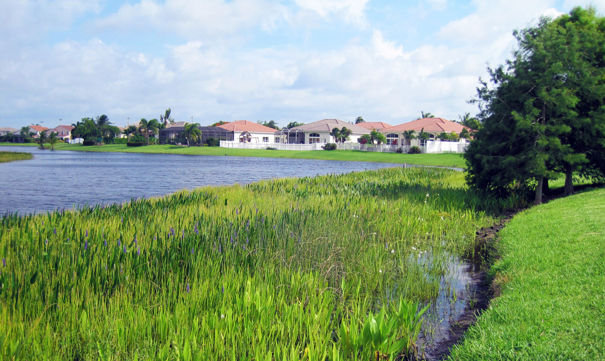 the-littoral-shelf-what-is-it-and-why-is-it-important