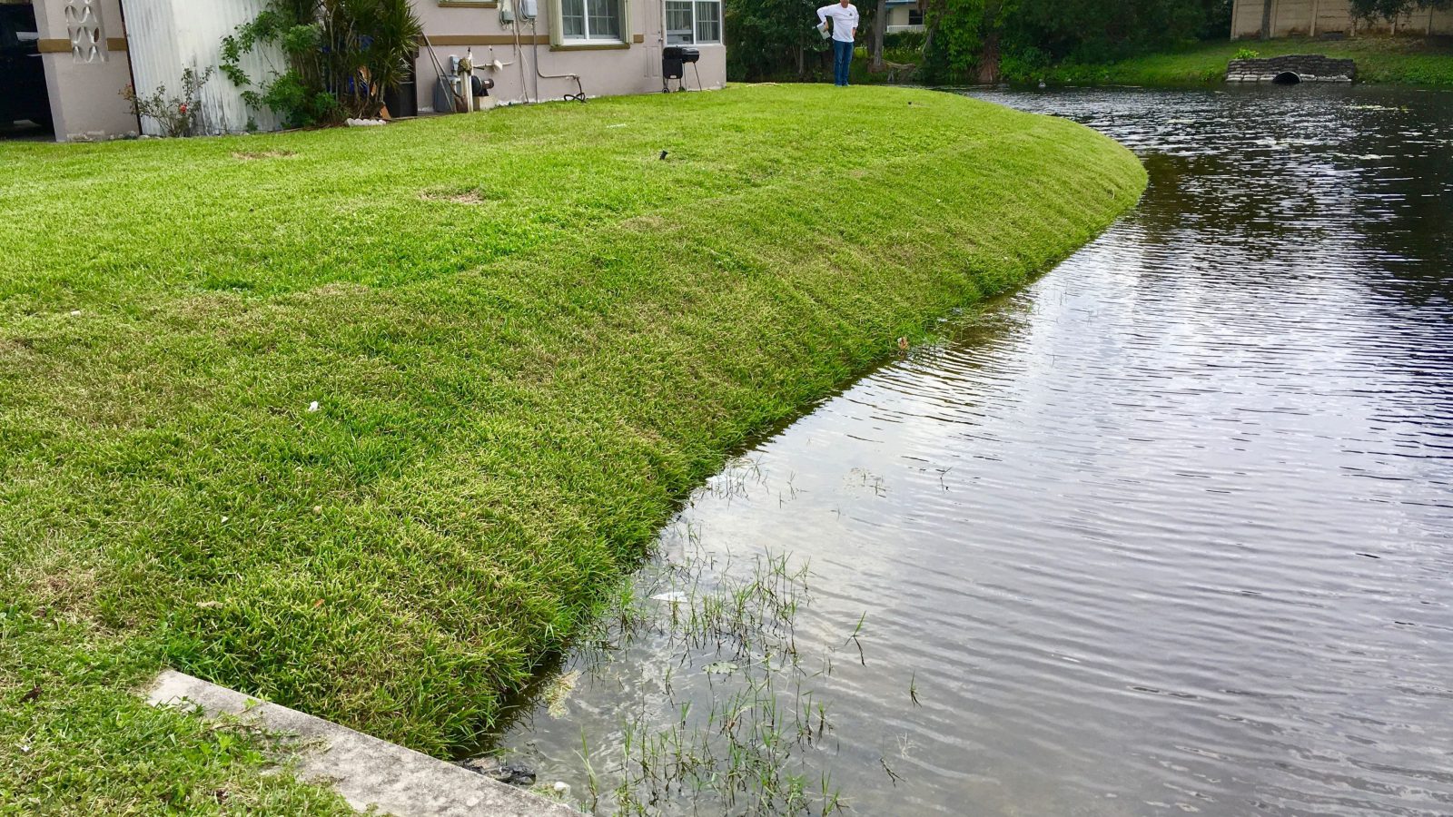 erosion control and buffer management shoreline restoration after