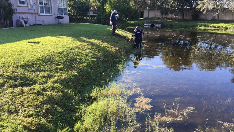 erosion control and buffer management shoreline restoration before