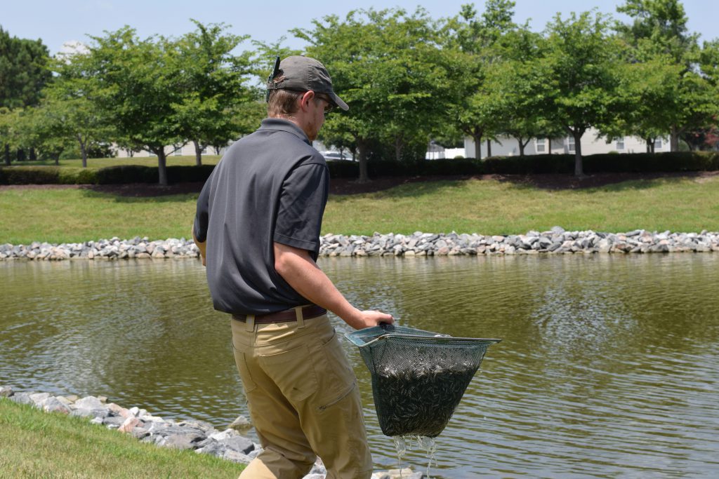 fish-stocking-community-pond