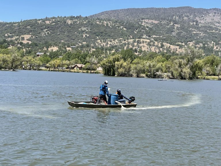 nutrient remediation scenic - on the job - water quality testing