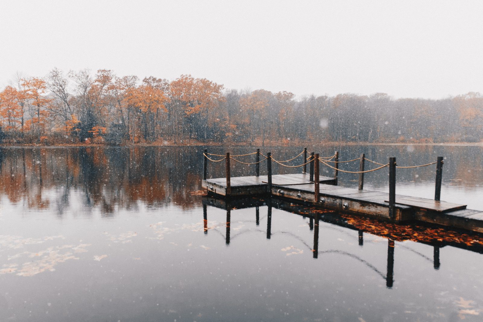 winter pond and lake management scenic (10)